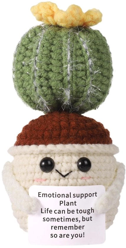 Cactus da Parete 11cm - Manufatto Artigianale - Giocattolo Cactus Divertente - Cactus Positivo - Regali con Carta di Incitamento - Decorazione per Bambini - Cuscino Cactus