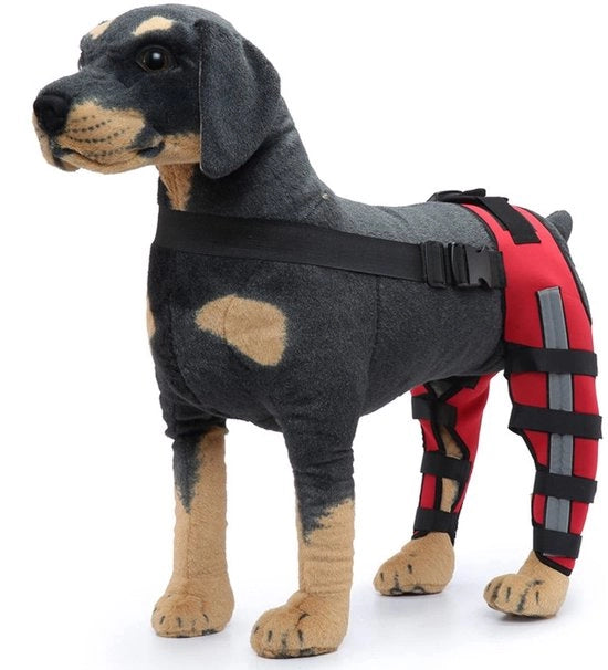 Sostegno per ginocchio per cani - Supporto per articolazioni ginocchiali per cani - Materiale neoprene - Resistentente allo shock - Adatto per cani grandi/piccoli - Riduce le infortunazioni - Sostegno per cani