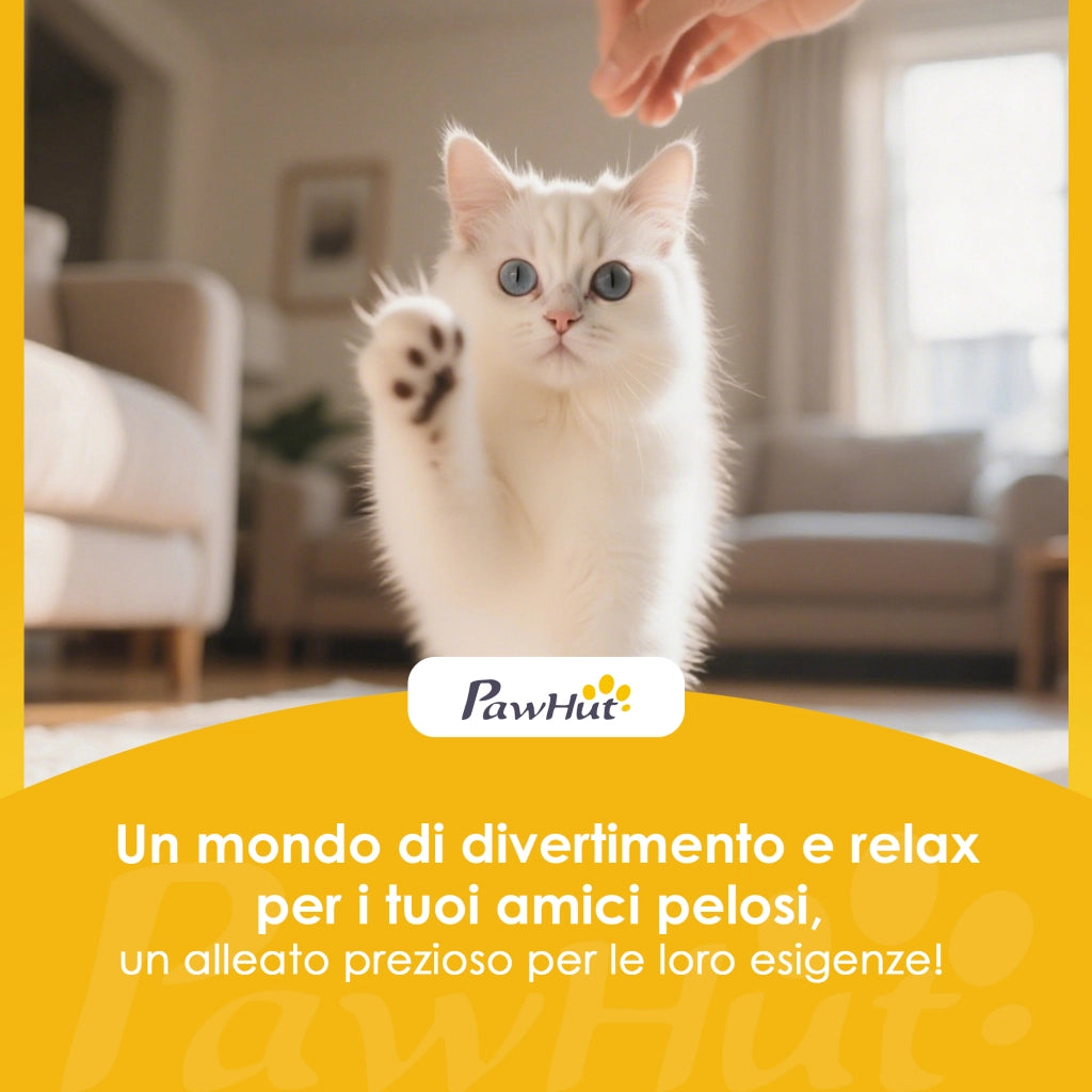 Distributore Automatico di Cibo per Gatti 4,5L con APP e Registratore Vocale in ABS e Acciaio Bianco e Grigio