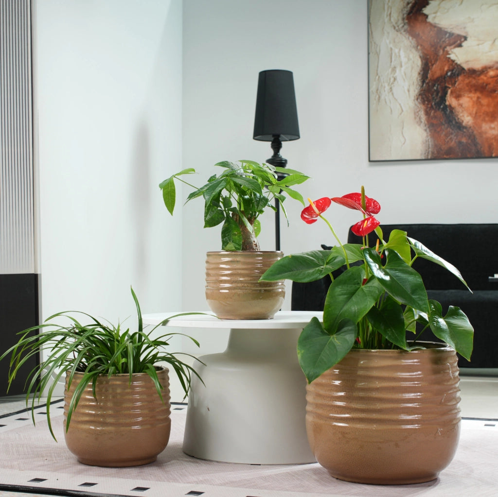 Vaso per piante ULEVR ? 20 cm in ceramica marrone chiaro lucida con scanalature ondulate e foro di drenaggio