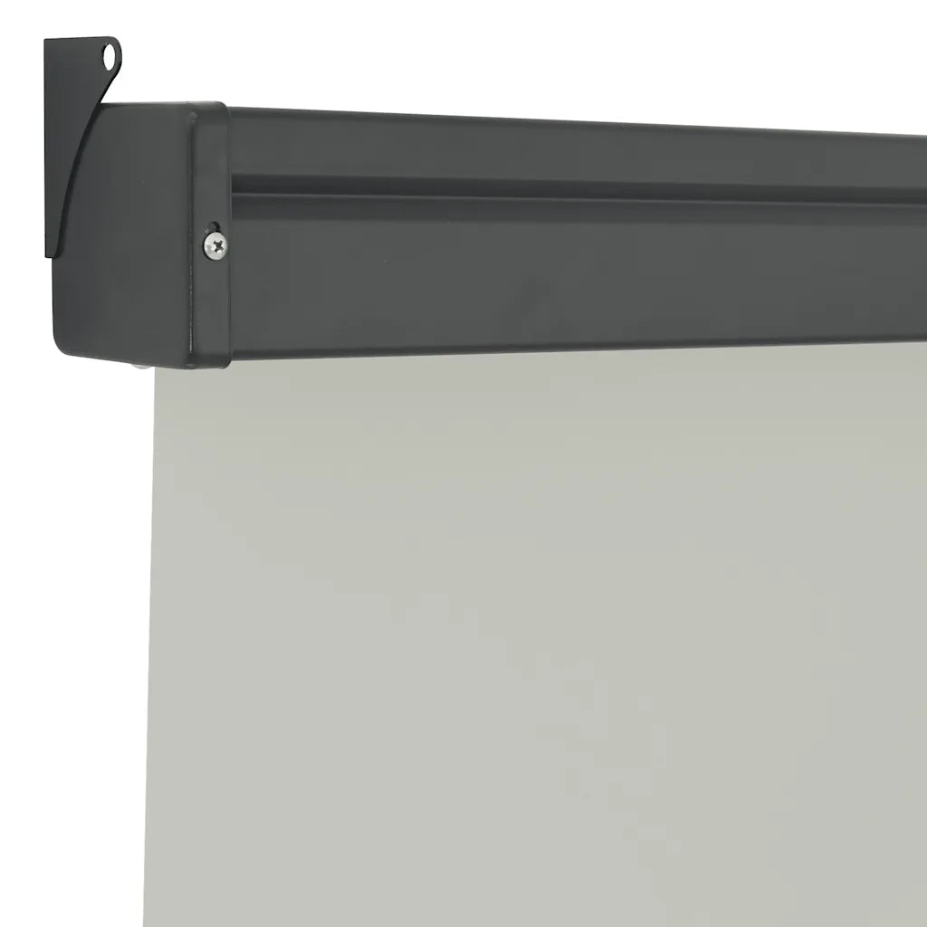 Tendalino Laterale per Balcone 125x250 cm Grigio