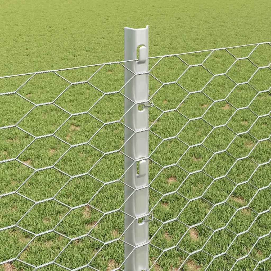 Recinzione da Giardino | Recinzione con Posto Argento