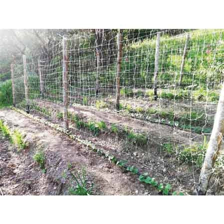 RETE RAMPICANTE IDEAL STAR 1,7x100 mt - colore bianco - IDEAL STAR