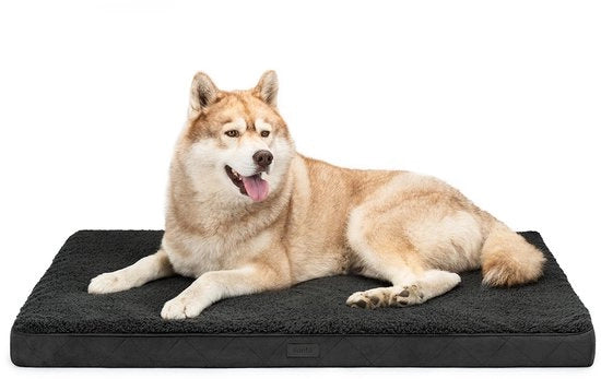 Letto per cani ortopedico, coperta rimovibile lavabile 112x81x8 cm nero