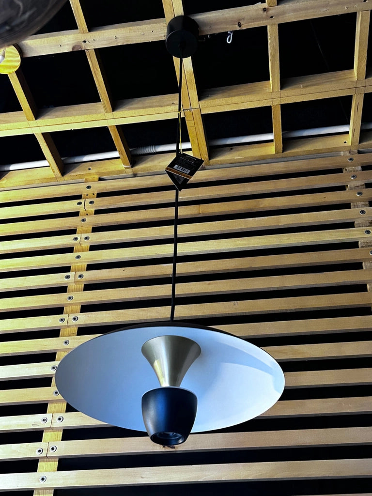 Lampadario a sospensione moderno in ferro nero da soffitto con lampada luce calda a led integrato 11 watt