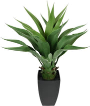 Agave in vaso, plastica, verde, 70 x 45 x 45 cm