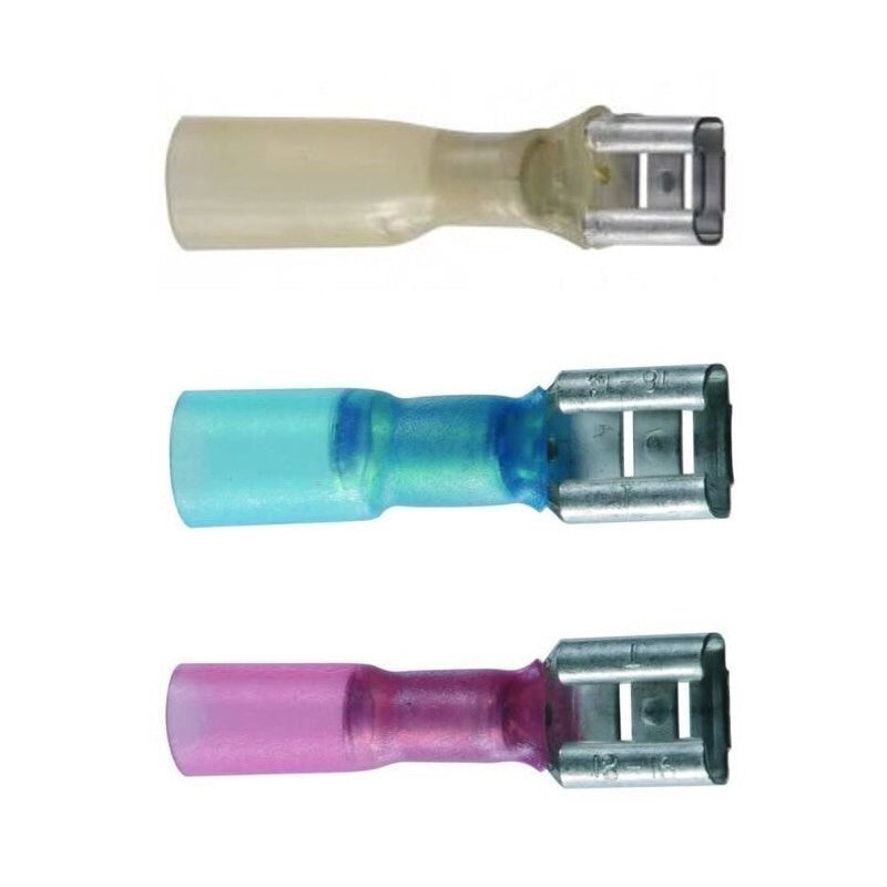 TERMINALE FEMMINA TERMO BLU 10PZ