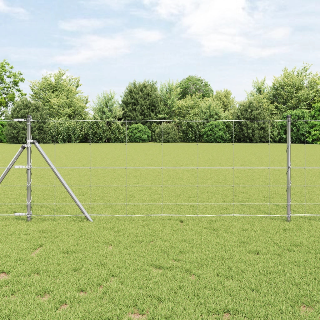 Recinzione campo  0.8x100 m Acciaio zincato