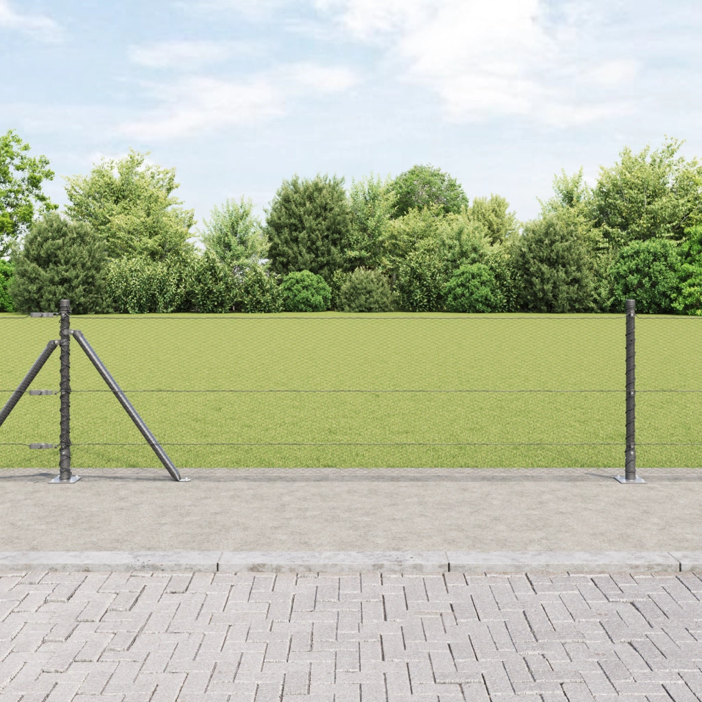Recinto Esagonale  Grigio 0.4x25 m Acciaio
