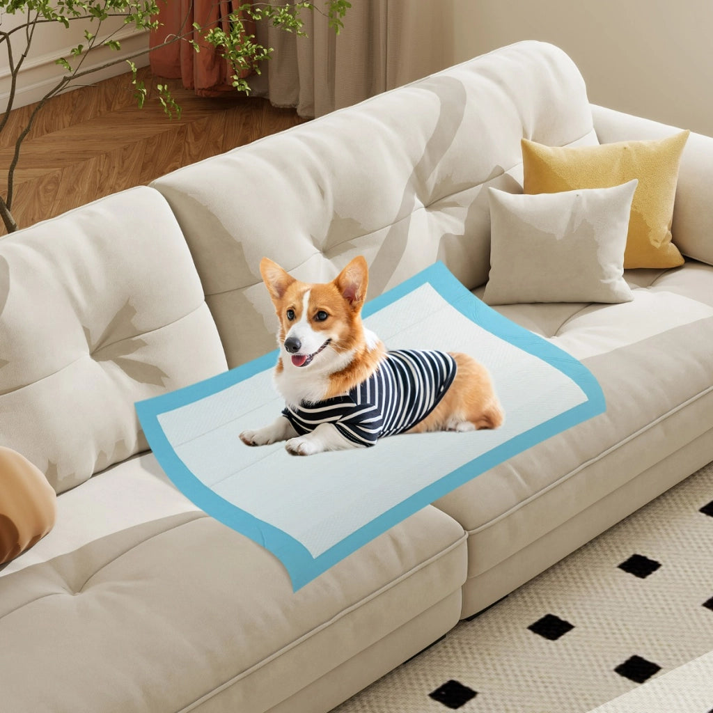 Tappetini per animali domestici a 6 strati a prova di perdite-Asciugatura rapida tappetini da interno ed esterno 90 x 60 cm Blu
