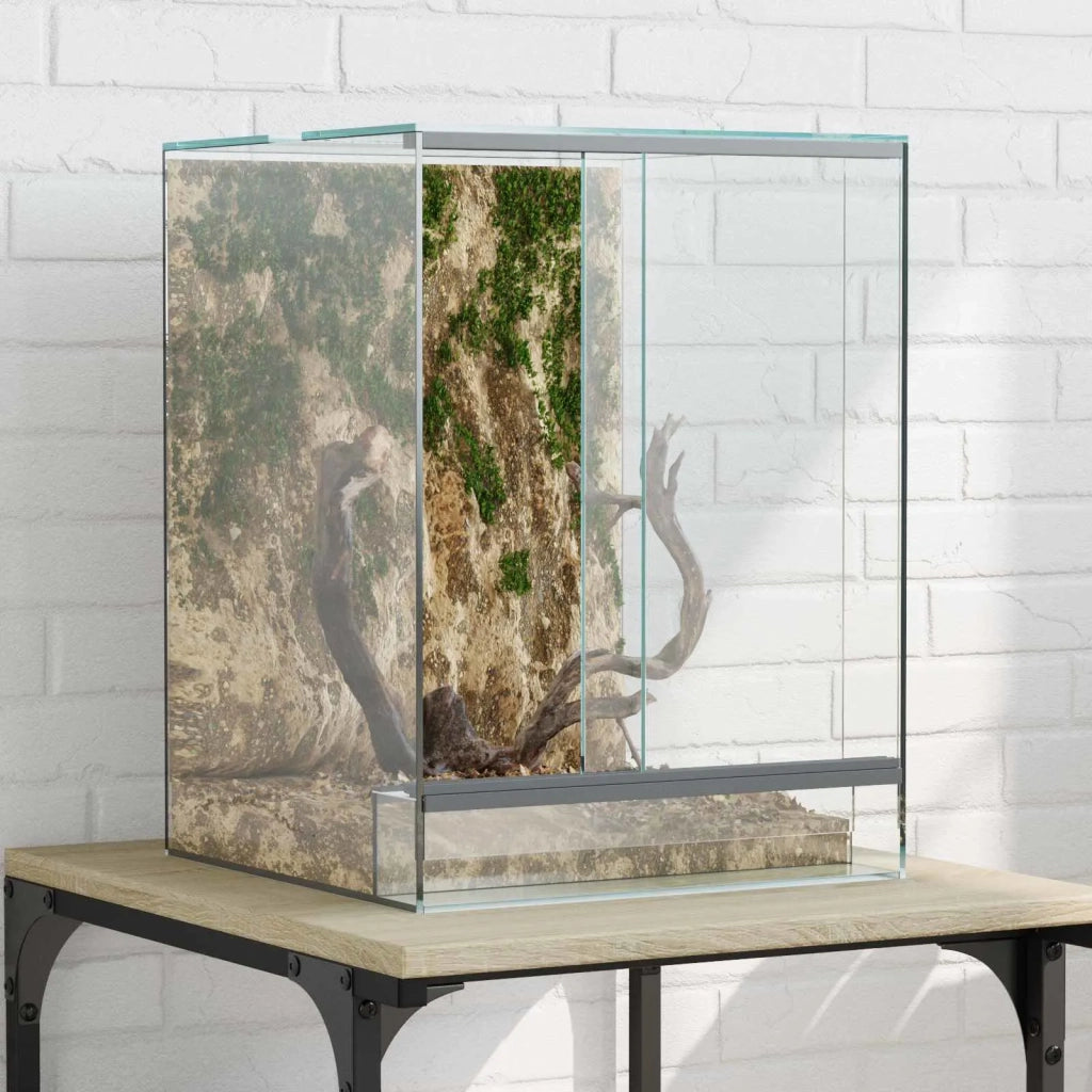 Terrario con archiviazione Trasparente 30 x 30 x 40 cm Vetro CFW7854473