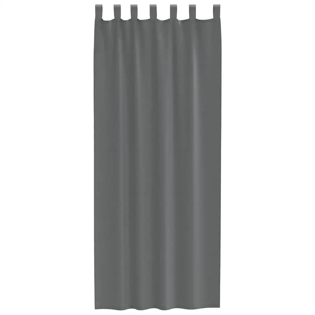 Tende in Voile con Passanti 2 pz Grigio Scuro 140x260 cm