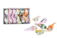 Set 24 Uccellini con Clip Larghezza 10 cm
