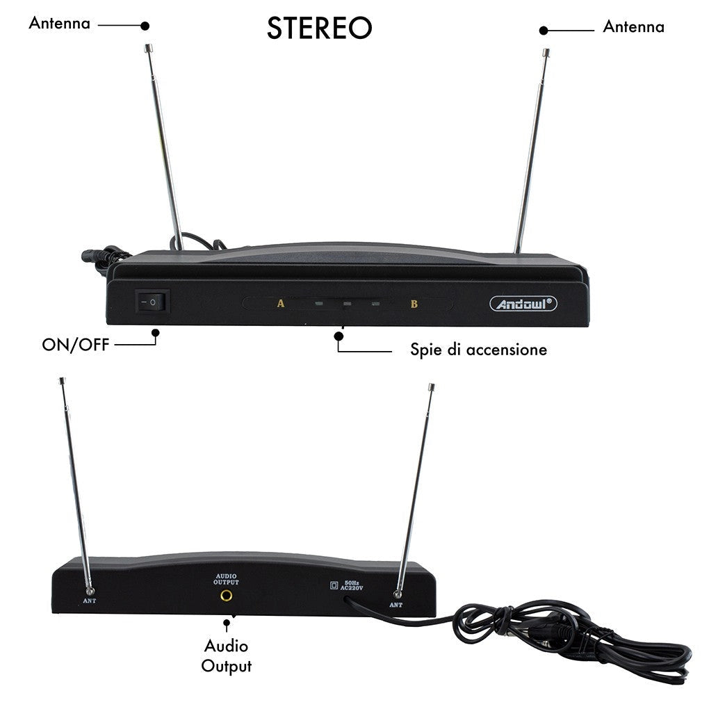 Microfoni Wireless per Karaoke Ricevitore 2 Canali Canto e Presentazioni