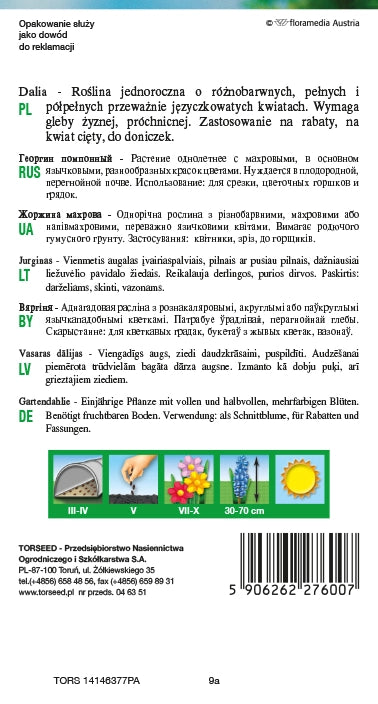 Dahlia variabile - Dahlia pinnata intera e semidoppia mix 1g