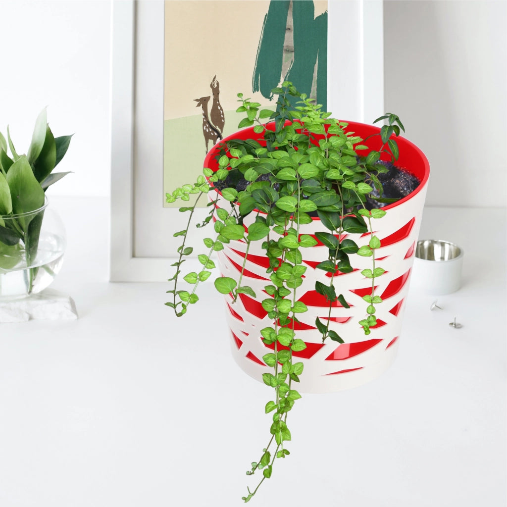 KADAX - Inserto in plastica per vaso di fiori e piante, 13 cm, rosso