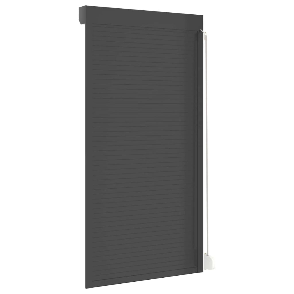 Persiana a rullo Antracite 110 x 220 cm Alluminio e poliuretano