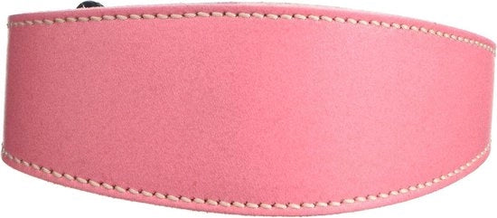 Collare di Fuga Uno Taglia 3/4 x 12 a 14 Pollici Rosa per Whippet
