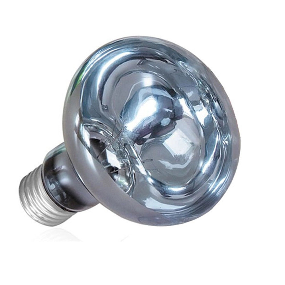AQL Terra DayHeat Lamp Attacco E27 - Lampada riscaldante diurna per terrari Wattaggio Riscaldatori e lampade terrario: 75W
