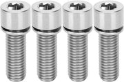 Bouti Sturazionari M7x20mm - Testa Conica Bouti - Viti Sturazionarie - Accessori Ciclistici - Lega di Titanio Leggera - Ampia Applicazione - Viti per Bicicletta