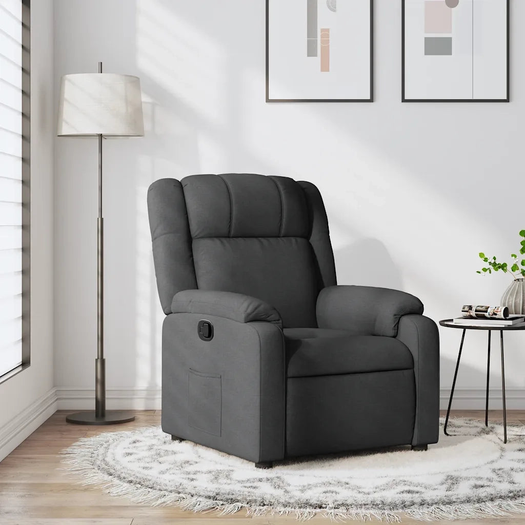 Divano Sedia-Poltrona reclinabile in Tessuto Grigio Scuro 998955