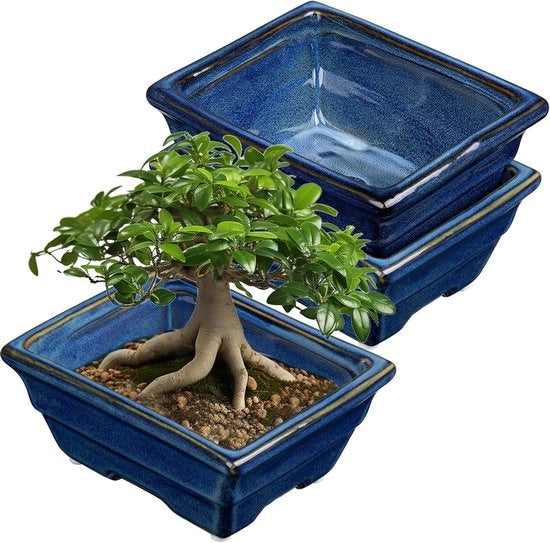 Set di 2 vasi profondi per piante succulente per bonsai vivente 16 cm/6.3 pollici - Vaso ceramico per piante grasse interne con foro di drenaggio