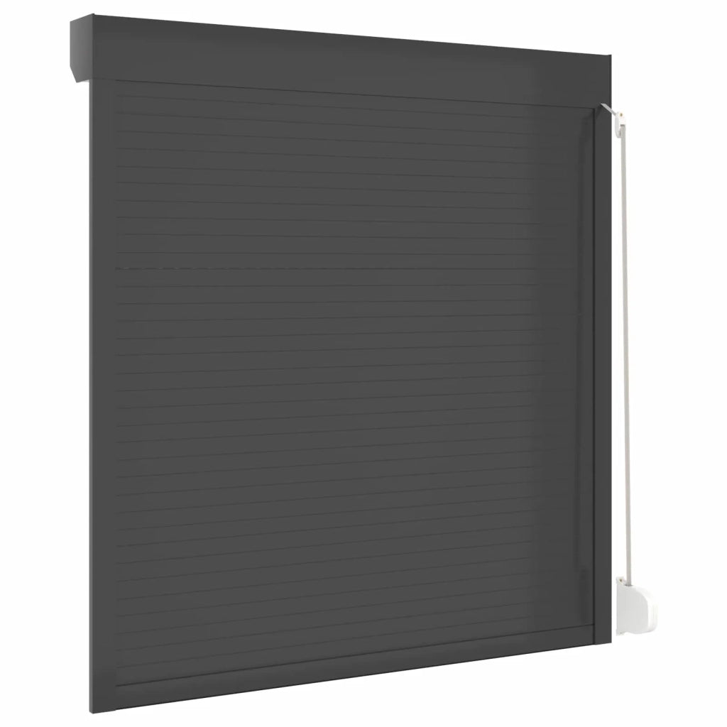 Persiana a rullo Antracite 140 x 150 cm Alluminio e poliuretano 42047073