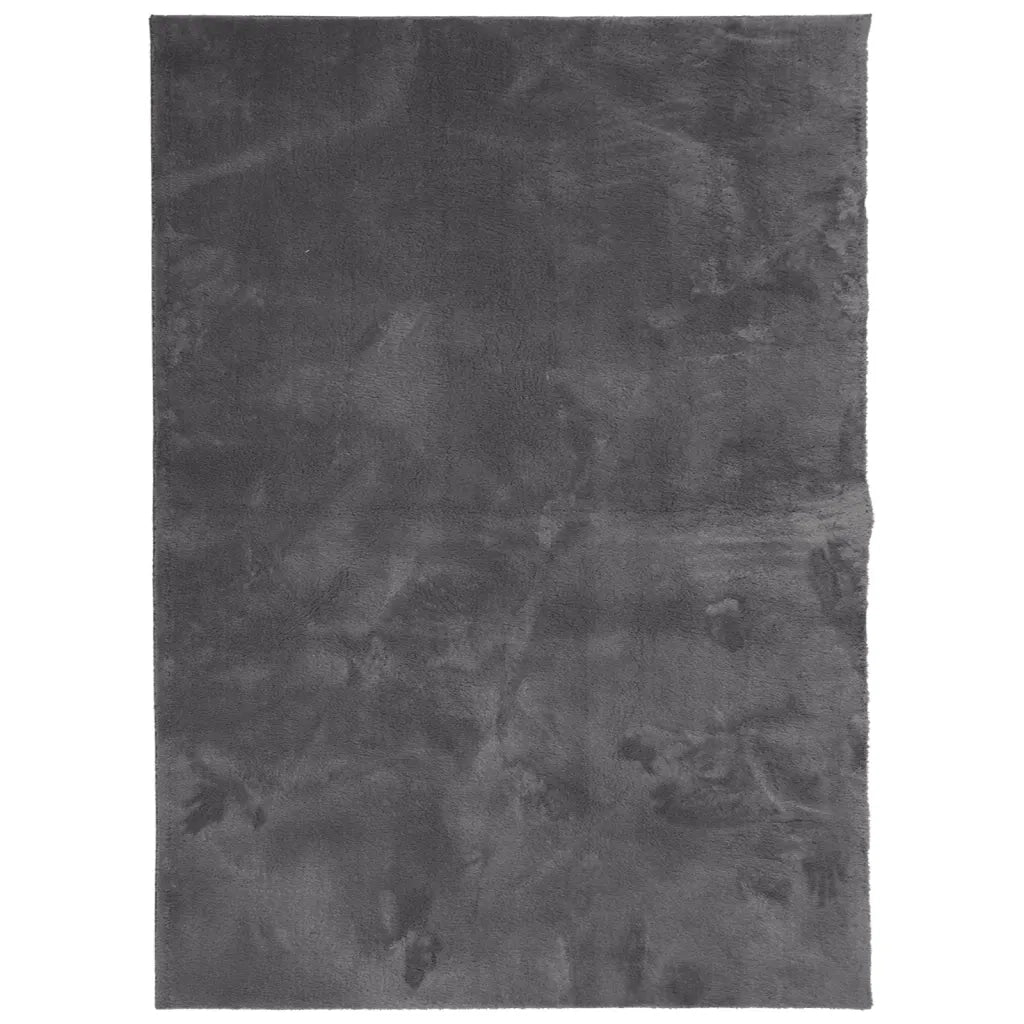 Tappeto Pelo Corto HUARTE Morbido Lavabile Antracite 160x230 cm 375003