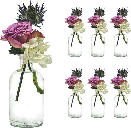 Set di decorazione per tavola da 6 pezzi, flessi di vetro trasparente (6 x 250 ml)