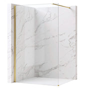 Parete Doccia Rea Flexi Transparent / Brush Gold 110