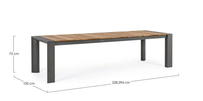 Tavolo Allungabile da Giardino 228-294x100x75h cm Cameron Antracite
