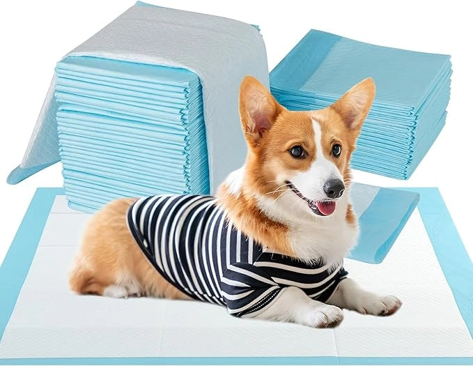 Tappetini Assorbenti per Cani, Tappetini da Interno ed Esterno per Animali Domestici a 6 Strati a Prova di Perdite, Asciugatura Rapida, Monouso per Urine, per Cagnolini (90 x 60 cm)