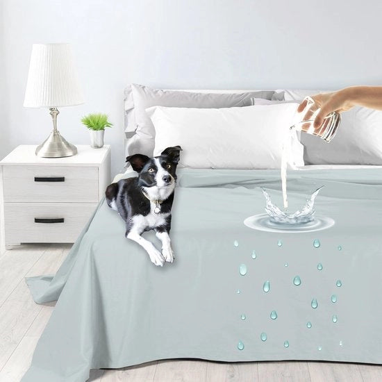 Bedsprei Acquidratica a Due Piazze, di Cotone, Impermeabile, Veloce da Pulire, Protezione per Letto a Due Piazze, Dimensioni Queen Size, Idonea per Animali Domestici, Bambini, Resistente a Macchie, Antimuffa, Lavabile (Grigio Ice, Dimensioni Queen Size)