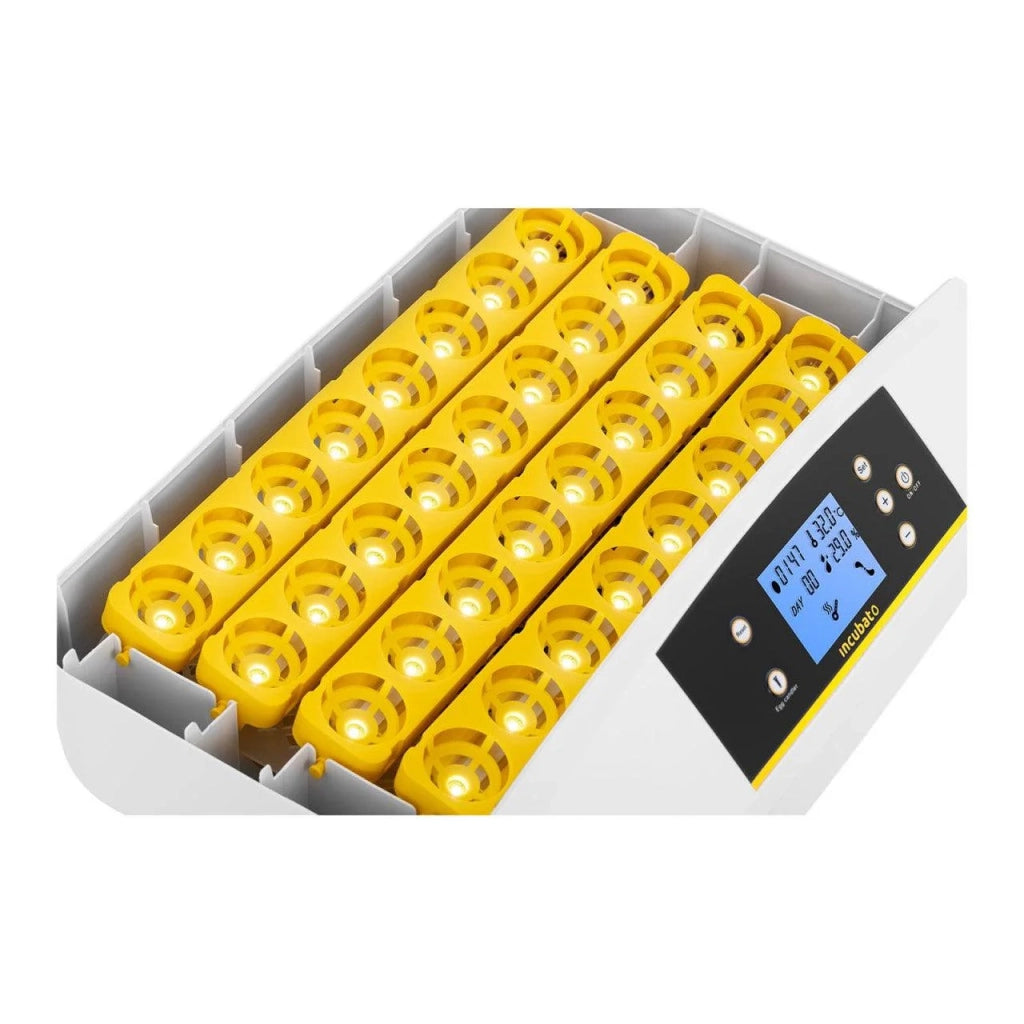 Incubatrice per 32 uova con speratrice integrata completamente automatica 14_0001193