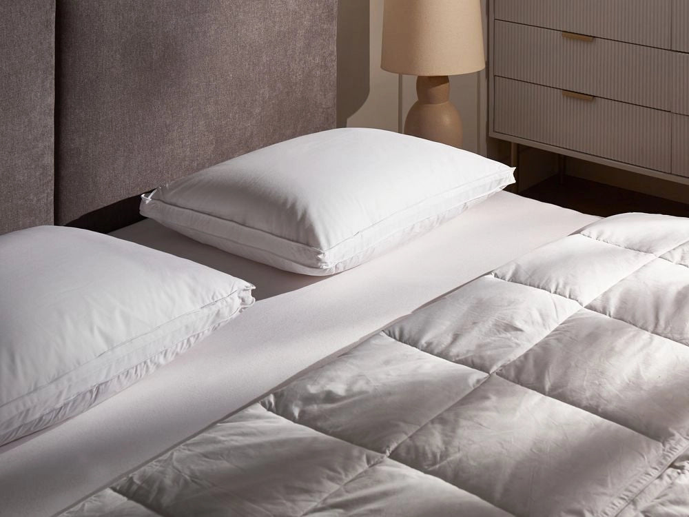 Set di 2 cuscini per letto in cotone bianco piumino d'anatra e piume 50 x 60 cm alto medio morbido