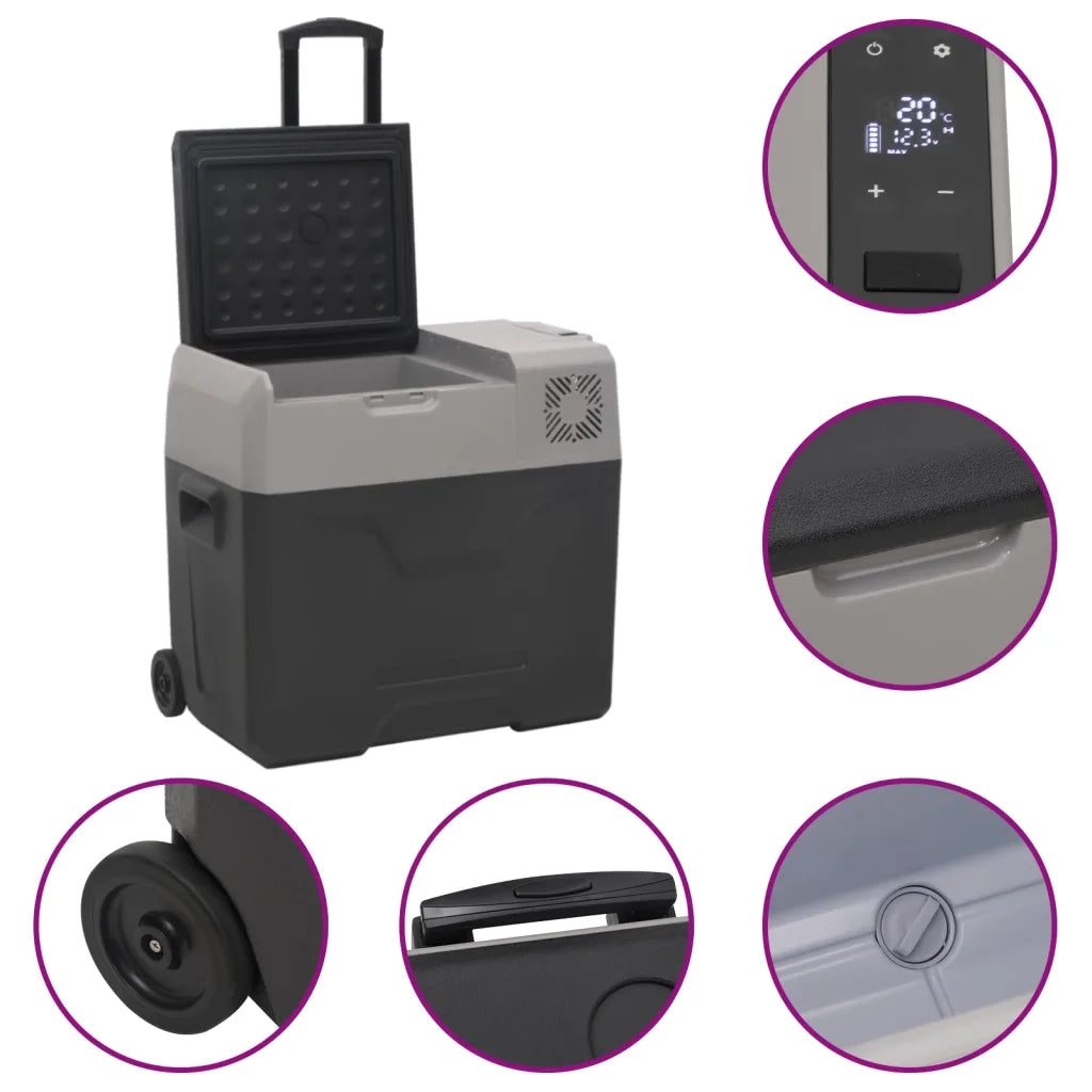 Borsa Frigo con Ruote Adattatore Nera Grigia 40 L Polipropilene CFW9714882