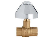 VALVOLA  A SFERA EVOLUTION FF CON CAPPUCCIO  FF 1/2    FIV