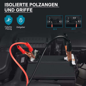 Caricabatterie 12V e 24V Boost 630 Caricatore per batterie piombo acido AGM