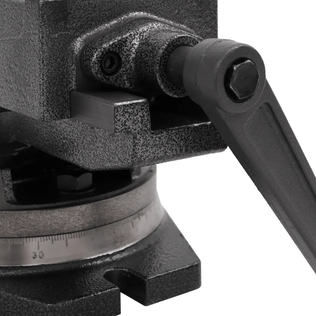 Morsa Inclinabile a 2 Assi 100 mm CFW8814140