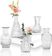 Set di vasi in vetro per decorazione da tavola, mini, trasparente