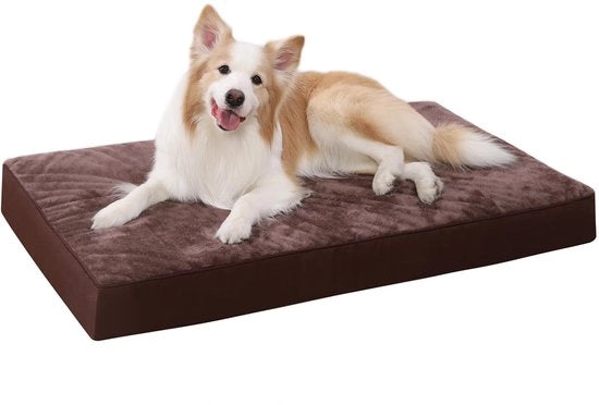 Matrimoniale Culla per Cani Grande, Cuscino per Cani XXL Lavabile, Materasso per Cani morbido, Materasso per Cani con Copertura Rimovibile in Cioccolato 120x75x9cm