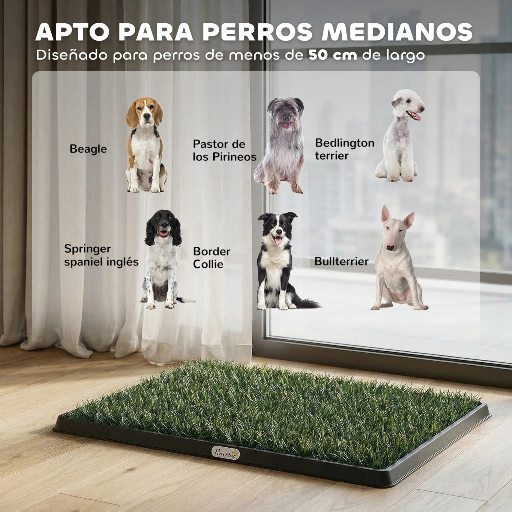 Tappetino Erba Sintetica per Cani ¨C Zephmum ¨C Verde 76x50.5 cm