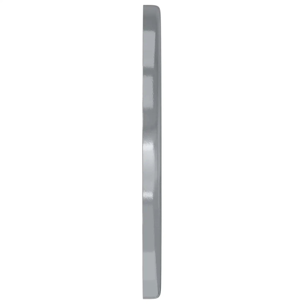 Rondelle 33962 pz Argento Ferro CFW5389293