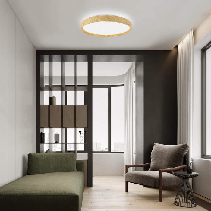 ZMH Lampada da soffitto plafoniera LED Starry Sky 40cm dimmerabile telecomando