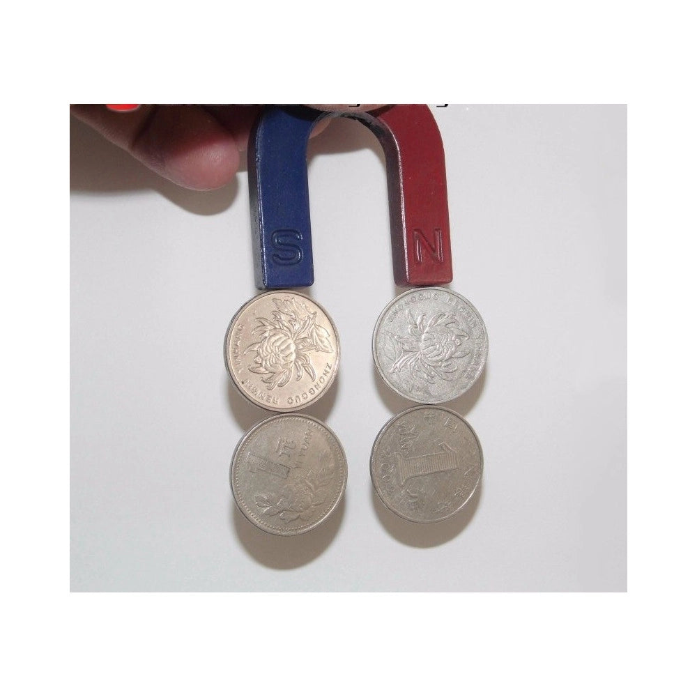 Trade Shop - 2 X Magnete Didattico Calamita 30mm A Forma Di U Positivo E Negativo Nord Sud -