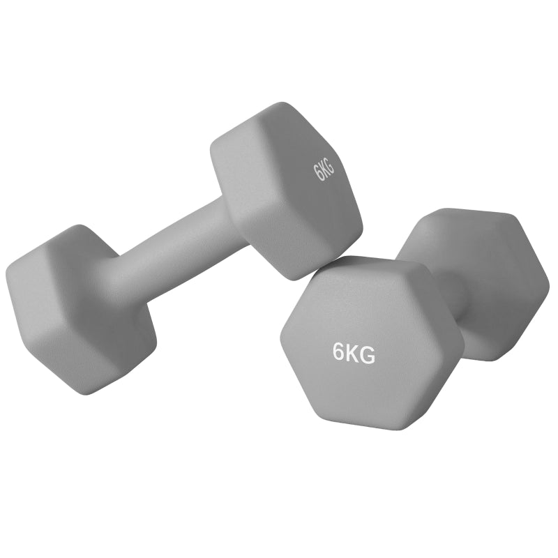 Set di 2 manubri da 6 kg, design esagonale, adatti a pavimenti, antiscivolo, colore grigio.