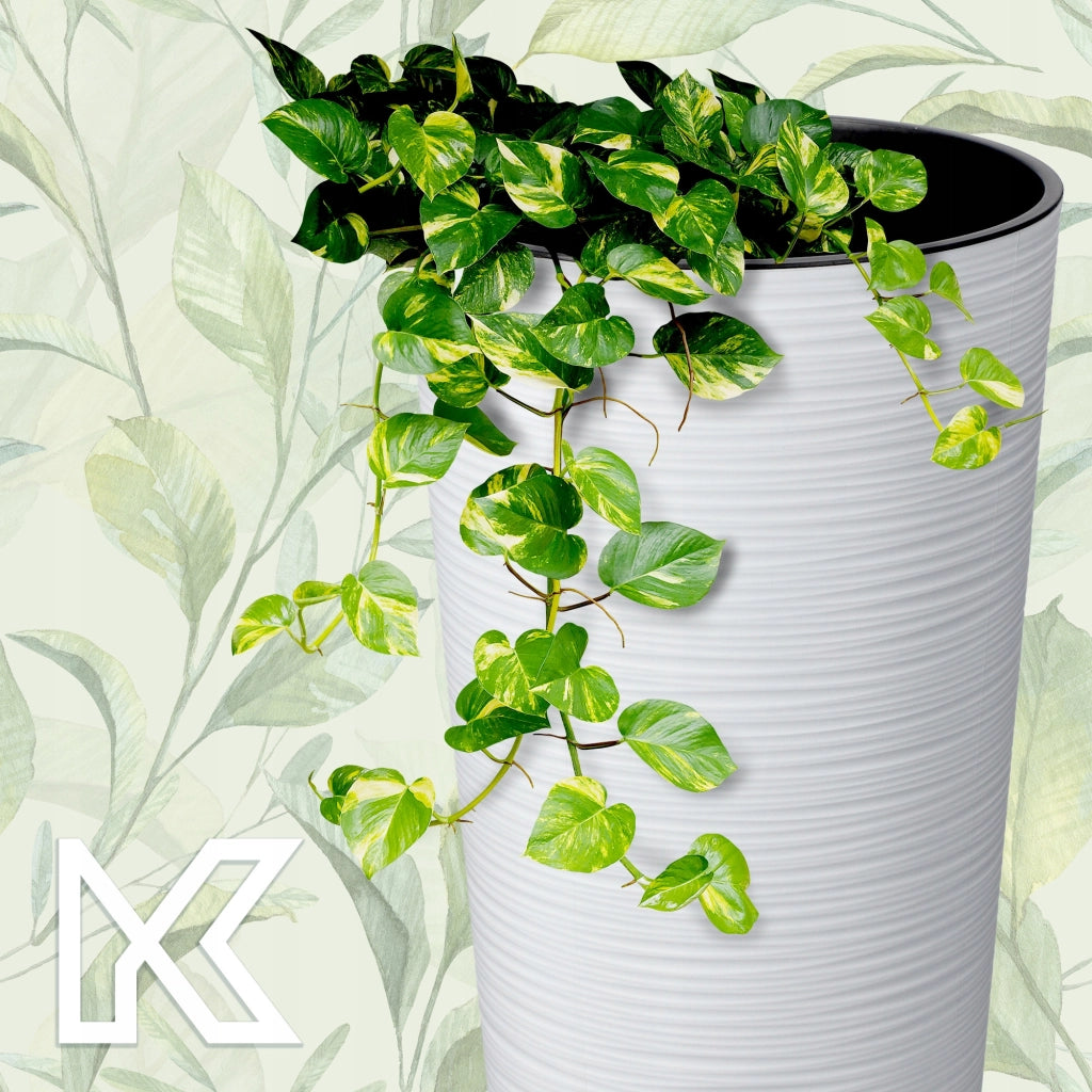 Vaso da fiori KADAX, bianco, alto, con inserto, 36 cm