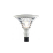 Testapalo Contemporanea Soriano Alluminio Bianco 1 Luce Led 50W 4000K