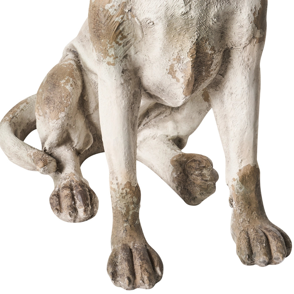 Statuetta decorativa da giardino cane in MgO beige 42 x 50 x 70 cm elemento decorativo per giardino terrazza e patio