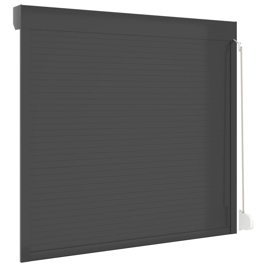 Persiana a rullo Antracite 160 x 150 cm Alluminio e poliuretano 42047074